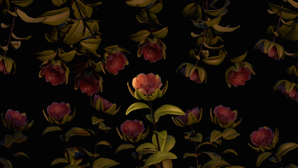 RosaliaVerse3_v5.gif