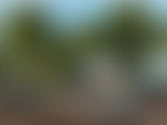 Crystal City's Metro Station Plaza Makeover