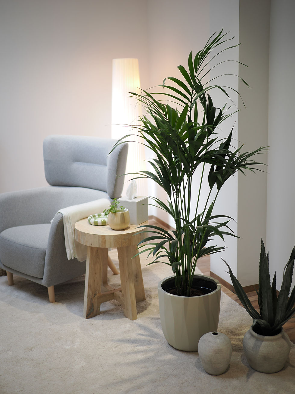 Praxisraum von dieberatunghoch2