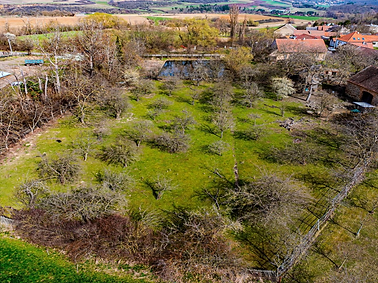 Snímek obrazovky 2025-08-11 v 14.36.36.png