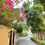 Thumbnail: Oldtown 2bed with Garden