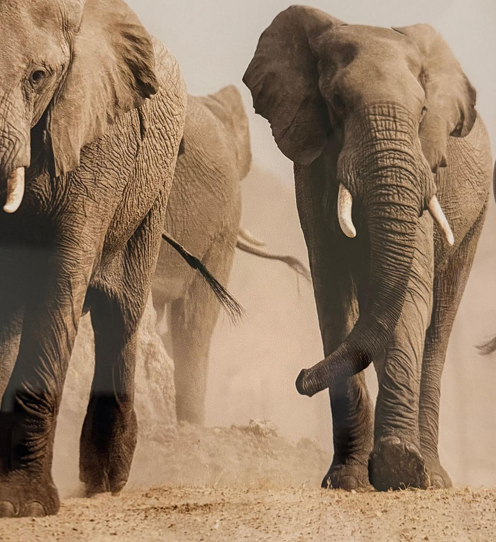 LET ME KNOW WHAT DO YOU THINK...