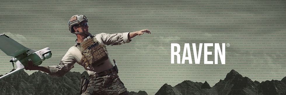 Raven banner.jpg