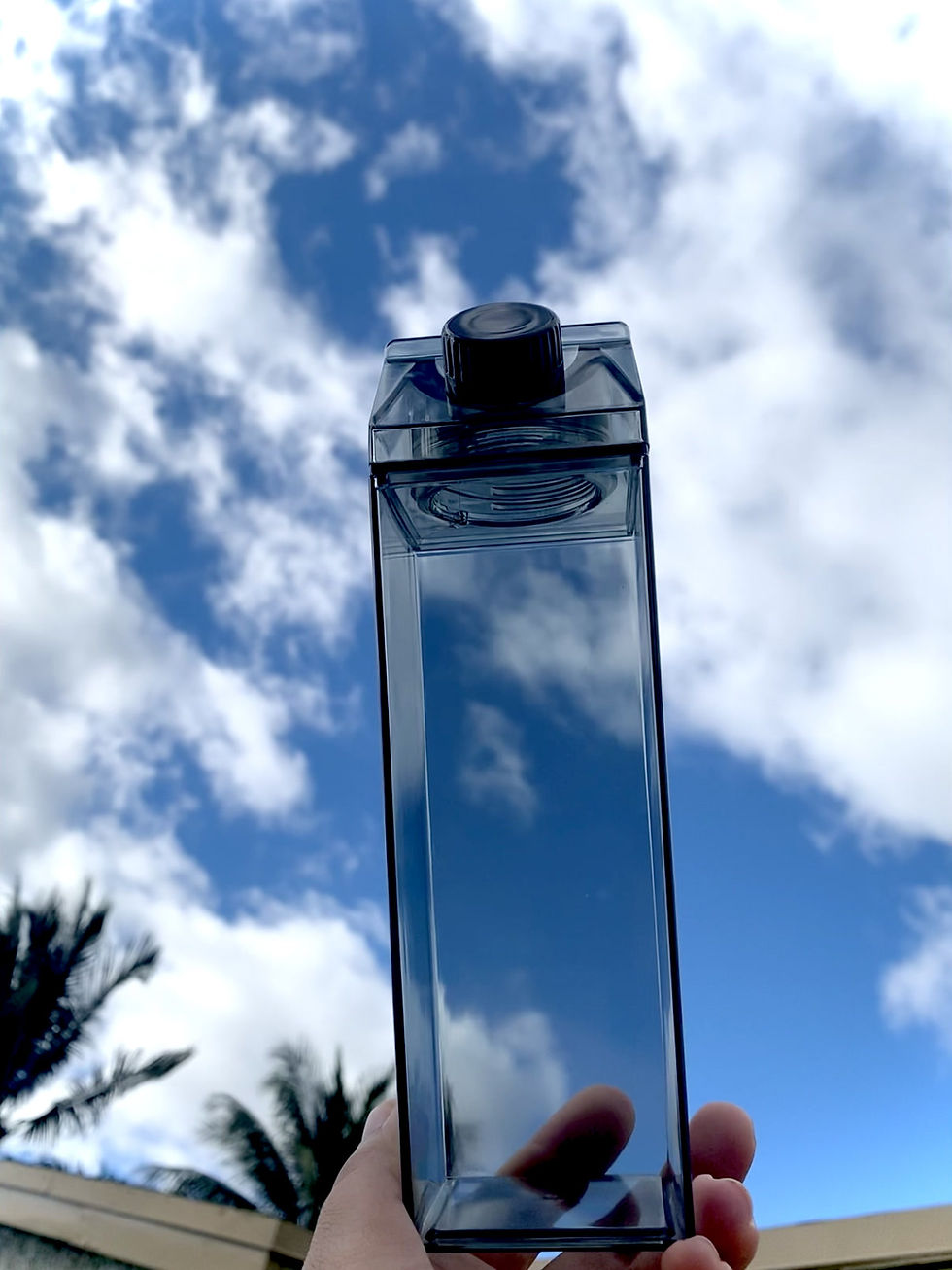 Thumbnail: Milk Carton Water Bottle