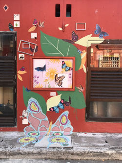Wall 4