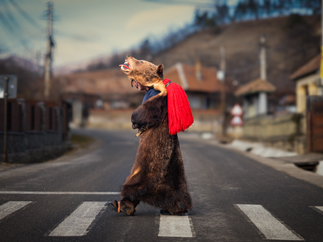 Celebrating Romanian Traditions: A Journey Through the Bear Festival and Capra Oituz