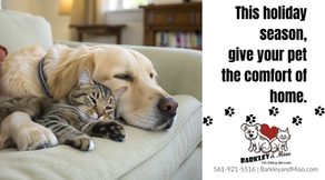 A golden retriever and a tabby cat cuddling peacefully on a couch, representing the comfort of in-home holiday pet care provided by Barkley + Miao Pet Sitting in Boynton Beach, Florida.