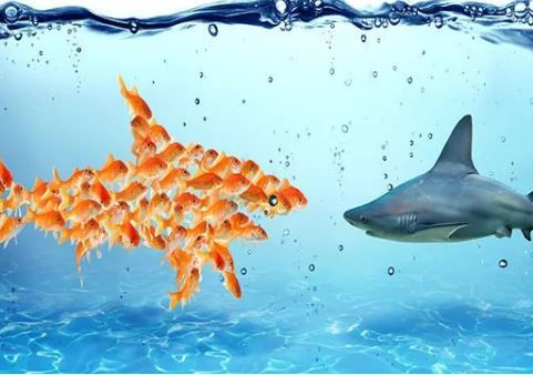 Single-Tenant vs. Multi-Tenant Industrial Properties: Which is Right for You?