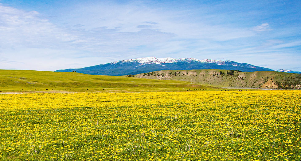 Spring in Southwest Montana