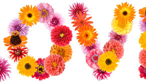 Love Is in the Air: Unwrap Our Romantic Valentine's Day Special!