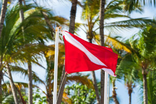 The Diver Down Flag: A Vital Signal You Should Never Ignore