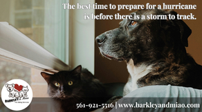 Dog and cat sitting by a window during a storm with text about preparing for hurricanes before they happen, emphasizing pet safety and early planning
