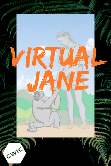 virtual jane poster.png