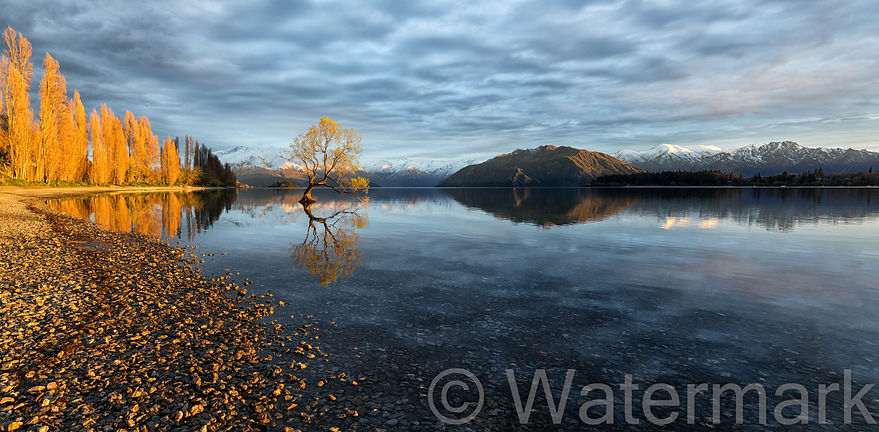 Wanaka - Lake Wanaka 28.jpg