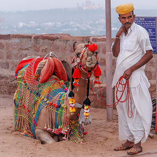 decorated camel 72 sm.jpg