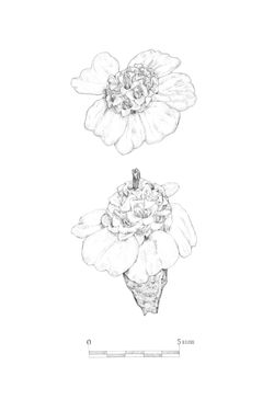 CapÃtulo//HERBORISTERIA PREHISTORICA