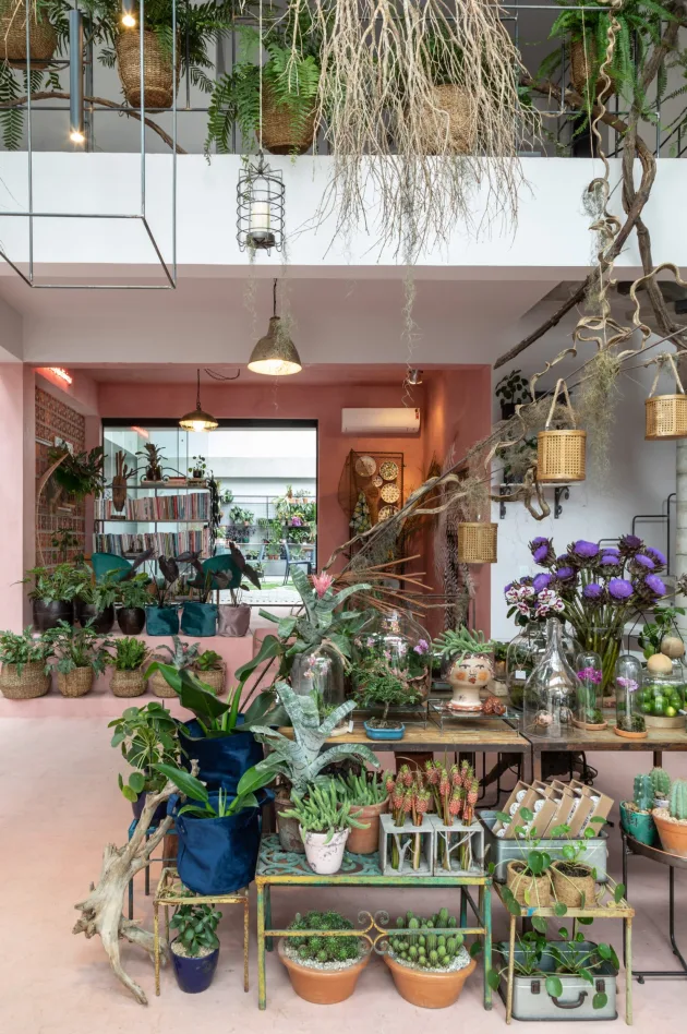 botanica001-alta-e1574191410345.webp