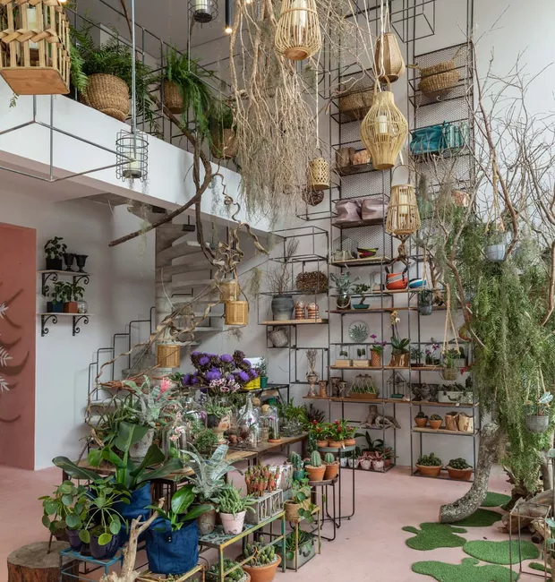 botanica042-alta.webp