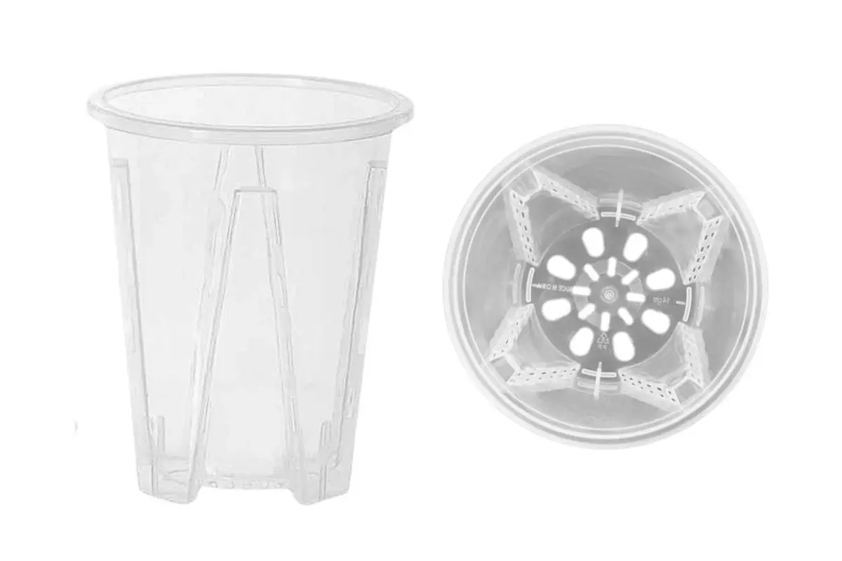 Pot transparent Aracées - Diamètre 12cm