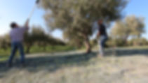 foto campo 3.jpg
