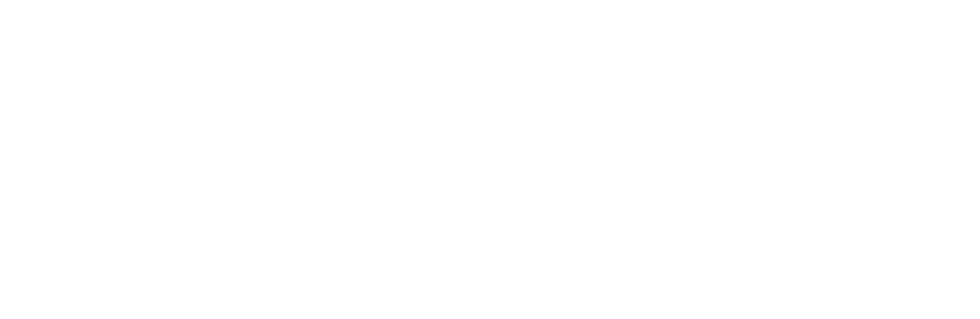 google-white-logo.png