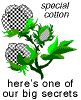 cotton.gif