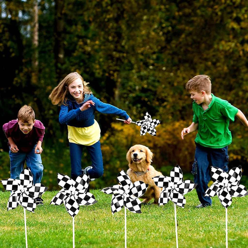 Thumbnail: Checkered Flag Pinwheel