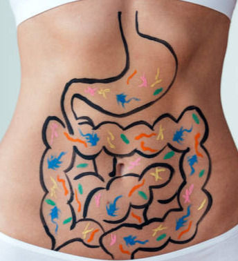 L'ostéopathie et les troubles digestifs