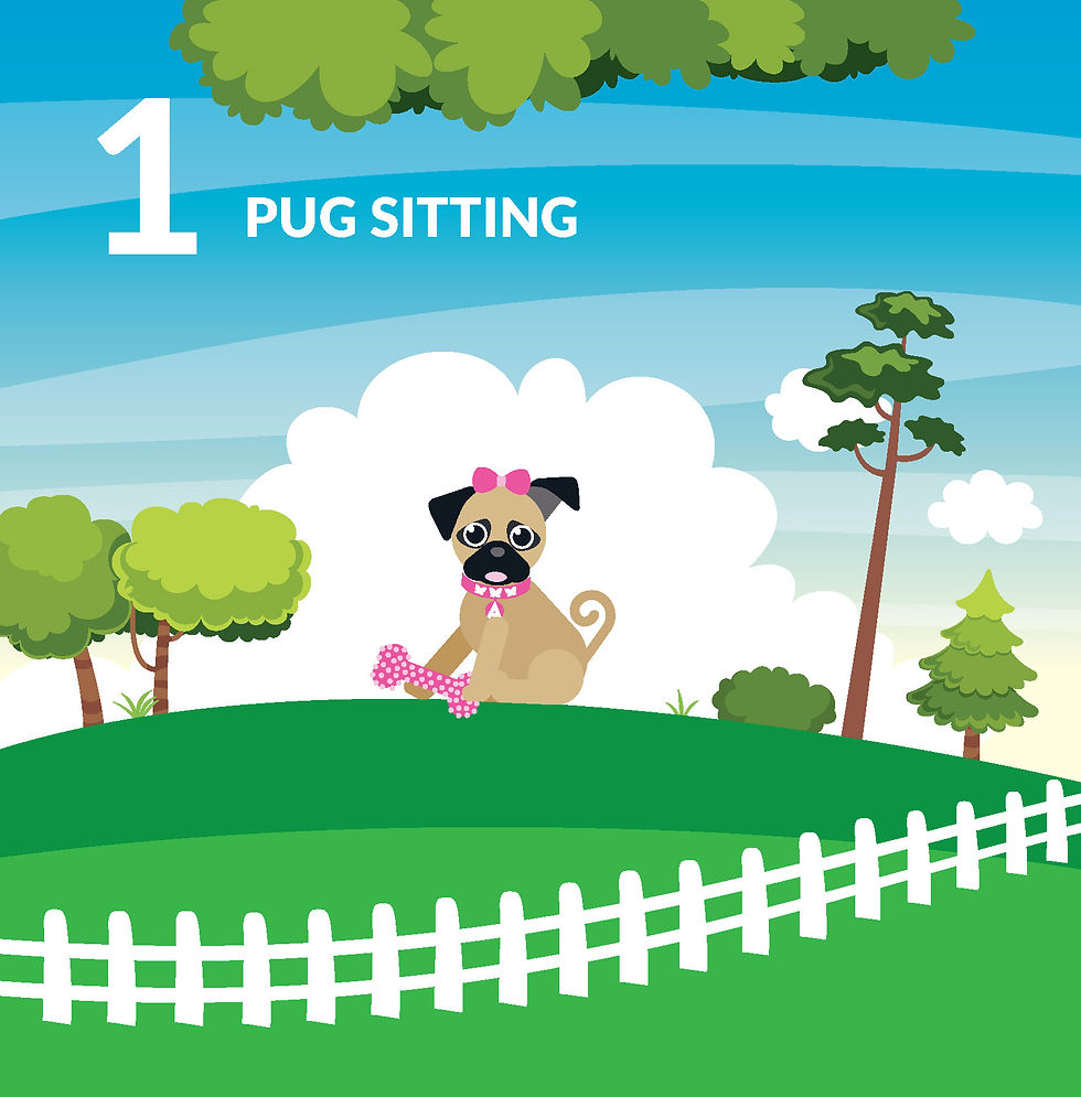 Thumbnail: Angel the Pug "Counting Pugs" book