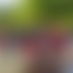 'Supervivientes' da comienzo con veintiún nuevos concursantes