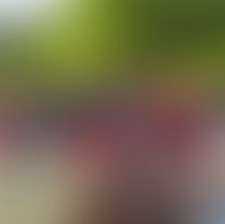 'Supervivientes' da comienzo con veintiún nuevos concursantes