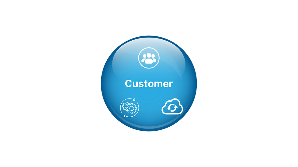 The TRIVERA Customer Ecosystem ball with traditional PPT icons as part of the ecosystem.