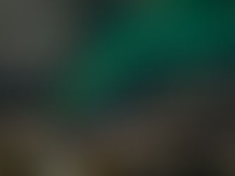 A Perfect birthday present