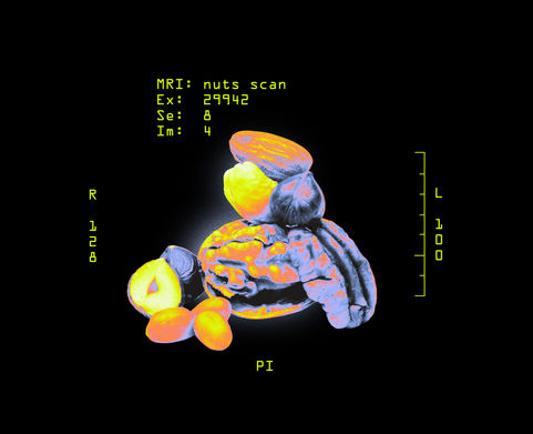CheckPlease_Nuts_Header