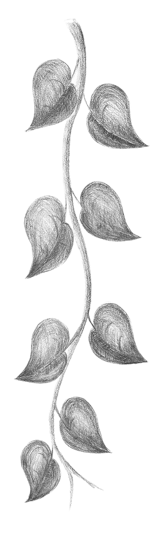 paysagiste gujan mestras