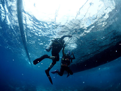 신뢰하는 버디에 대하여