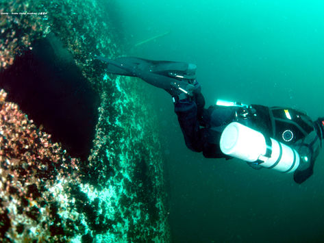 [5월 5~7일] 동해 다이빙 여행~