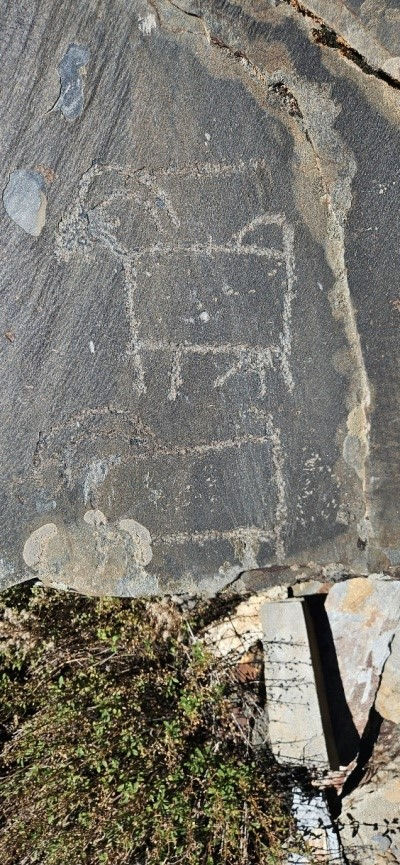 Effervescence of Lahul and Spiti Rock Art 