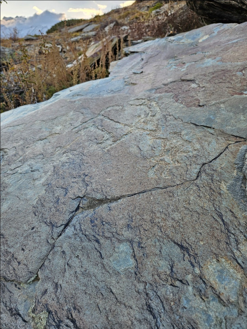 Man and animal interaction depicted on rock – Lahul