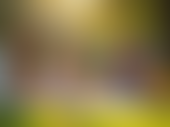 Affordable Life Insurance: Secure Your Family's Future