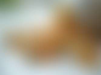 Understanding Medical Supplements: What You Need to Know