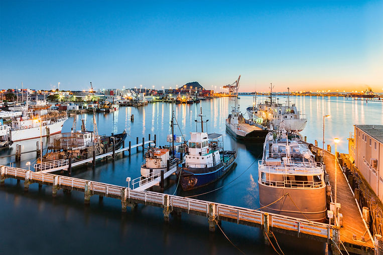 Tauranga 2.jpeg