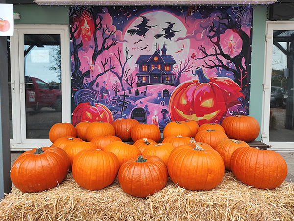 pumpkins display.jpg