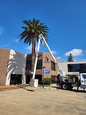 20230622_095942 - Copy.jpg