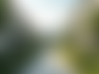 Investing in Affordable Housing: Tayne Investments Mission