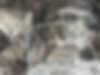 FirthSolomon_Hunter and dog sleeping2.jpeg