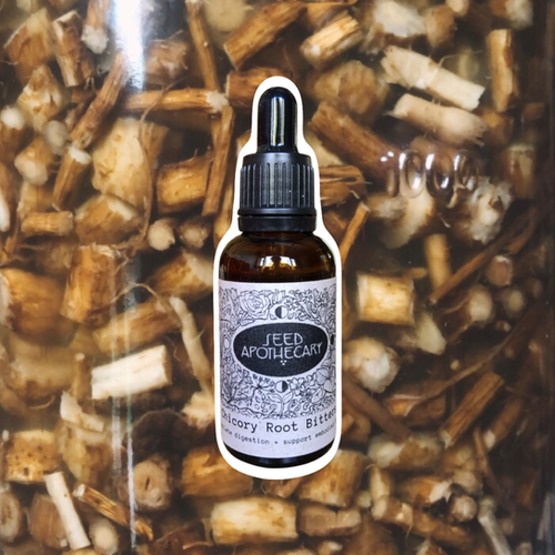 Chicory Root Bitters Elixir 30ml Seed Medicine Garden