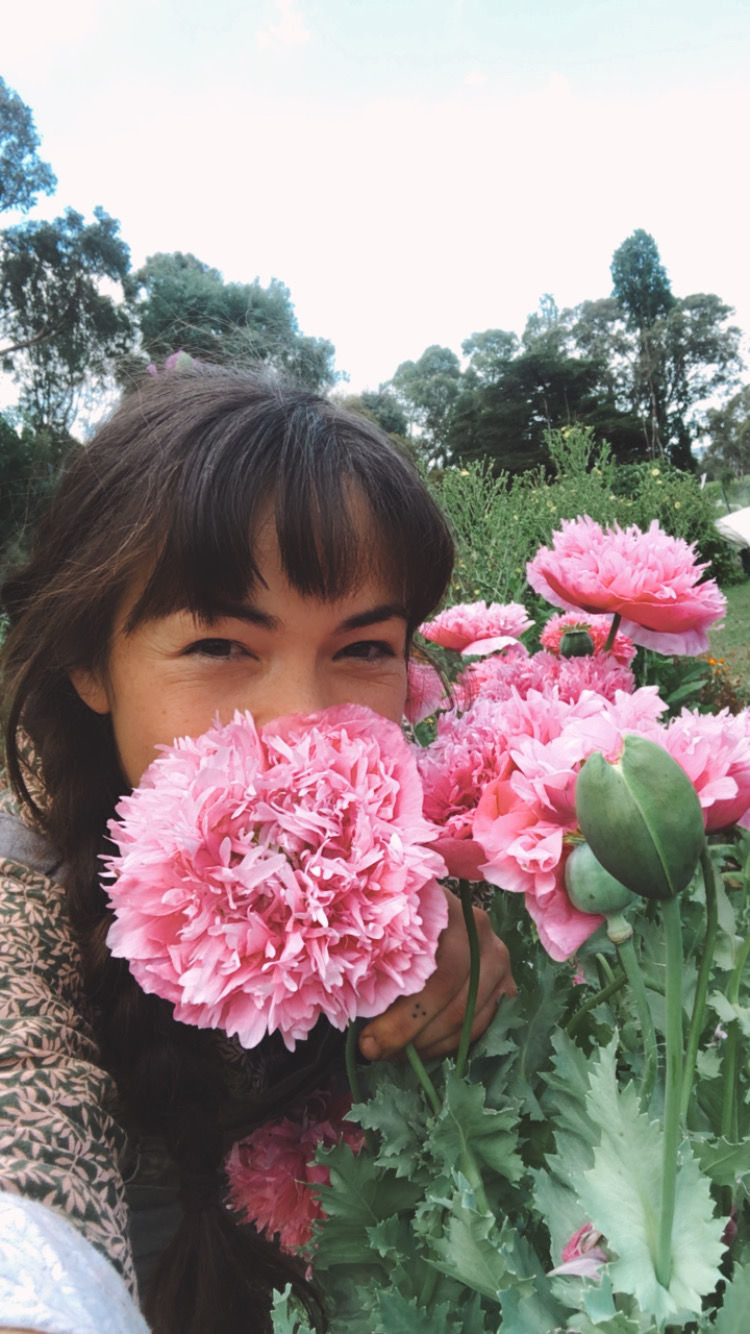 Thumbnail: Poppy - 'Pink Peony'