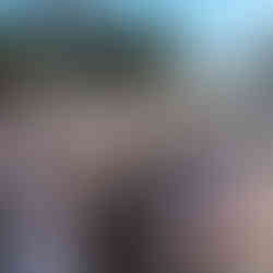 Серф трип Дорога Садов ЮАР Unravel Surf Travel Кейптаун