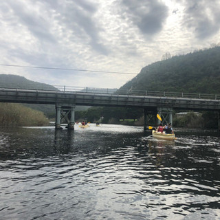 Серф трип Дорога Садов ЮАР Unravel Surf Travel